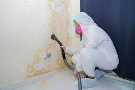 Best Mold Remediation for Vacation Homes  in Robert Lee, TX